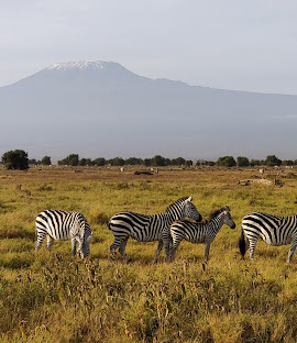 Amboseli National Park