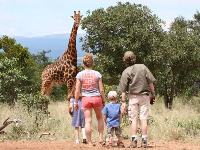 Family Safaris
