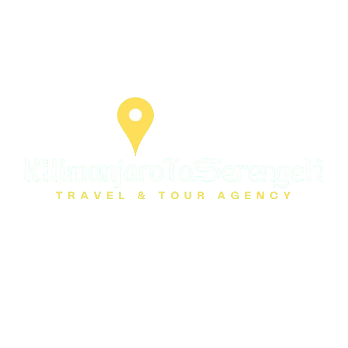 KilimanjaroToSerengeti Logo