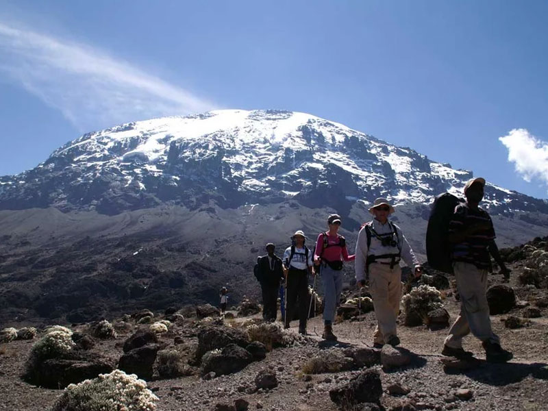 Walking Safaris