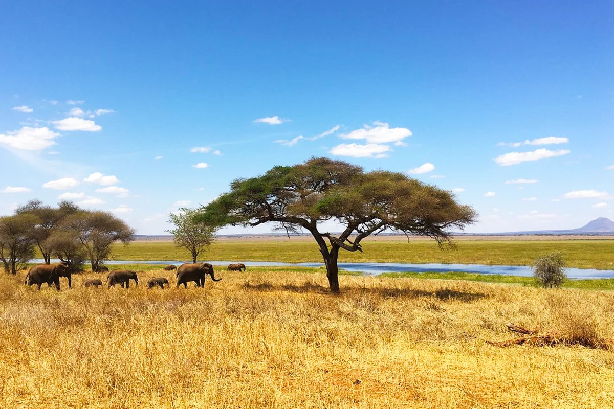 Serengeti National Park